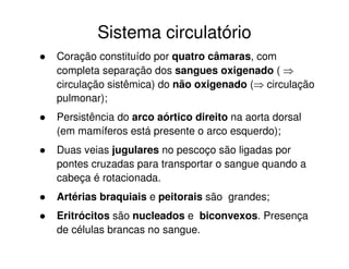 Sistema circulatório
Coração constituído por quatro câmaras, com
completa separação dos sangues oxigenado (
circulação sistêmica) do não oxigenado ( circulação
pulmonar);
Persistência do arco aórtico direito na aorta dorsal
(em mamíferos está presente o arco esquerdo);
Duas veias jugulares no pescoço são ligadas por
pontes cruzadas para transportar o sangue quando a
cabeça é rotacionada.
Artérias braquiais e peitorais são grandes;
Eritrócitos são nucleados e biconvexos. Presença
de células brancas no sangue.
 