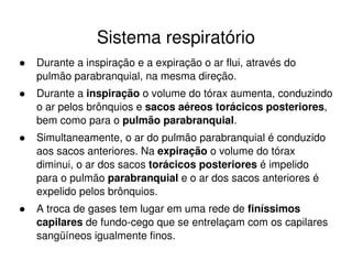 Sistema respiratório
Durante a inspiração e a expiração o ar flui, através do
pulmão parabranquial, na mesma direção.
Durante a inspiração o volume do tórax aumenta, conduzindo
o ar pelos brônquios e sacos aéreos torácicos posteriores,
bem como para o pulmão parabranquial.
Simultaneamente, o ar do pulmão parabranquial é conduzido
aos sacos anteriores. Na expiração o volume do tórax
diminui, o ar dos sacos torácicos posteriores é impelido
para o pulmão parabranquial e o ar dos sacos anteriores é
expelido pelos brônquios.
A troca de gases tem lugar em uma rede de finíssimos
capilares de fundo-cego que se entrelaçam com os capilares
sangüíneos igualmente finos.
 