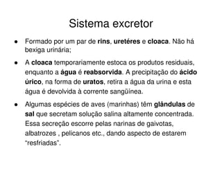Sistema excretor
Formado por um par de rins, uretéres e cloaca. Não há
bexiga urinária;
A cloaca temporariamente estoca os produtos residuais,
enquanto a água é reabsorvida. A precipitação do ácido
úrico, na forma de uratos, retira a água da urina e esta
água é devolvida à corrente sangüínea.
Algumas espécies de aves (marinhas) têm glândulas de
sal que secretam solução salina altamente concentrada.
Essa secreção escorre pelas narinas de gaivotas,
albatrozes , pelicanos etc., dando aspecto de estarem
“resfriadas”.
 
