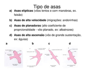 Tipo de asas
a) Asas elípticas (vôos lentos e com manobras, ex.
faisão)
b) Asas de alta velocidade (migrações: andorinhas)
c) Asas de planadoras (alto coeficiente de
proprcionalidade - vôo planado, ex: albatrozes)
d) Asas de alta ascensão (vôo de grande sustentação,
ex: águias)
a d
c
b
 