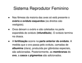 Sistema Reprodutor Feminino
Nas fêmeas da maioria das aves só está presente o
ovário e oviduto esquerdos (os direitos são
vestigiais).
Ovos deixam o ovário e são coletados na parte
expandida do oviduto (infundíbulo). O oviduto termina
na cloaca.
A fertilização ocorre na parte anterior do oviduto. A
medida que o ovo passa pelo oviduto, camadas de
albumina (clara), produzida por glândulas especiais,
são adicionadas. Posteriormente, as membranas do
ovo, a casca e pigmentos são adicionados.
 