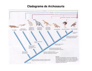 Cladograma de Archosauria
 