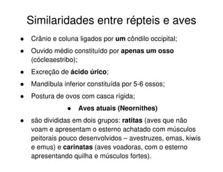 Similaridades entre répteis e aves
Crânio e coluna ligados por um côndilo occipital;
Ouvido médio constituído por apenas um osso
(cócleaestribo);
Excreção de ácido úrico;
Mandíbula inferior constituída por 5-6 ossos;
Postura de ovos com casca rígida;
Aves atuais (Neornithes)
são divididas em dois grupos: ratitas (aves que não
voam e apresentam o esterno achatado com músculos
peitorais pouco desenvolvidos – avestruzes, emas, kiwis
e emus) e carinatas (aves voadoras, com o esterno
apresentando quilha e músculos fortes).
 