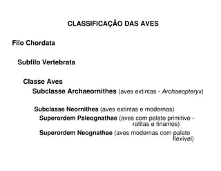 CLASSIFICAÇÃO DAS AVES
Filo Chordata
Subfilo Vertebrata
Classe Aves
Subclasse Archaeornithes (aves extintas - Archaeopteryx)
Subclasse Neornithes (aves extintas e modernas)
Superordem Paleognathae (aves com palato primitivo -
ratitas e tinamos)
Superordem Neognathae (aves modernas com palato
flexível)
 