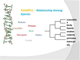 Crocodiles
Birds
Rodents
Primates
Marsupials Snakes
crocodile
s
birds
lizards
snakes
rodents
primates
marsupi
als
EXAMPLE :- Relationship Among
Species
 