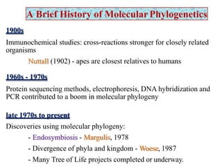A Brief History of Molecular Phylogenetics
1900s
Immunochemical studies: cross-reactions stronger for closely related
organisms
Nuttall (1902) - apes are closest relatives to humans
1960s - 1970s
Protein sequencing methods, electrophoresis, DNA hybridization and
PCR contributed to a boom in molecular phylogeny
late 1970s to present
Discoveries using molecular phylogeny:
- Endosymbiosis - Margulis, 1978
- Divergence of phyla and kingdom - Woese, 1987
- Many Tree of Life projects completed or underway.
 