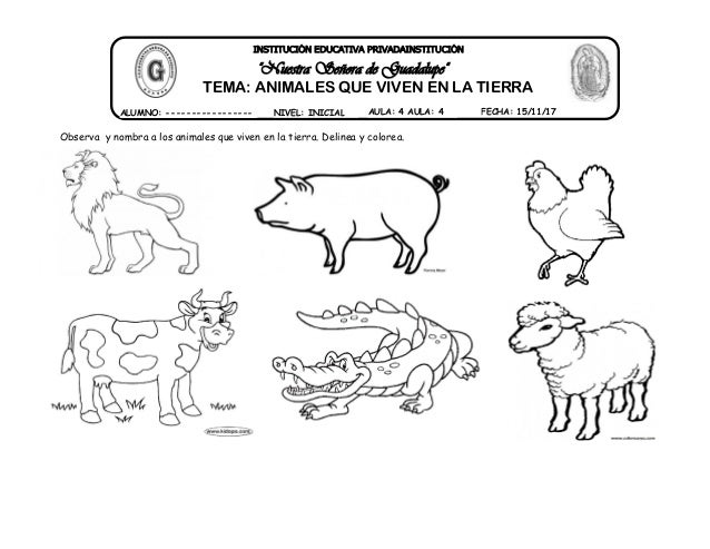 14 Animales Que Vivien En La Tierra