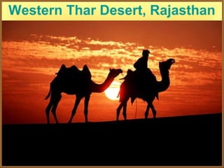 Western Thar Desert, Rajasthan
 
