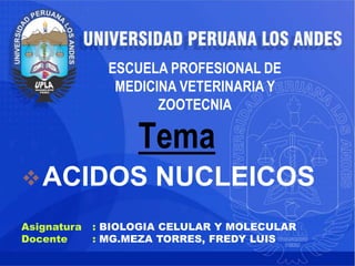 Tema
ACIDOS NUCLEICOS
ESCUELA PROFESIONAL DE
MEDICINA VETERINARIA Y
ZOOTECNIA
Asignatura : BIOLOGIA CELULAR Y MOLECULAR
Docente : MG.MEZA TORRES, FREDY LUIS
 