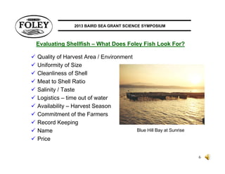 Peter Ramsden, Baird Symposium | PDF