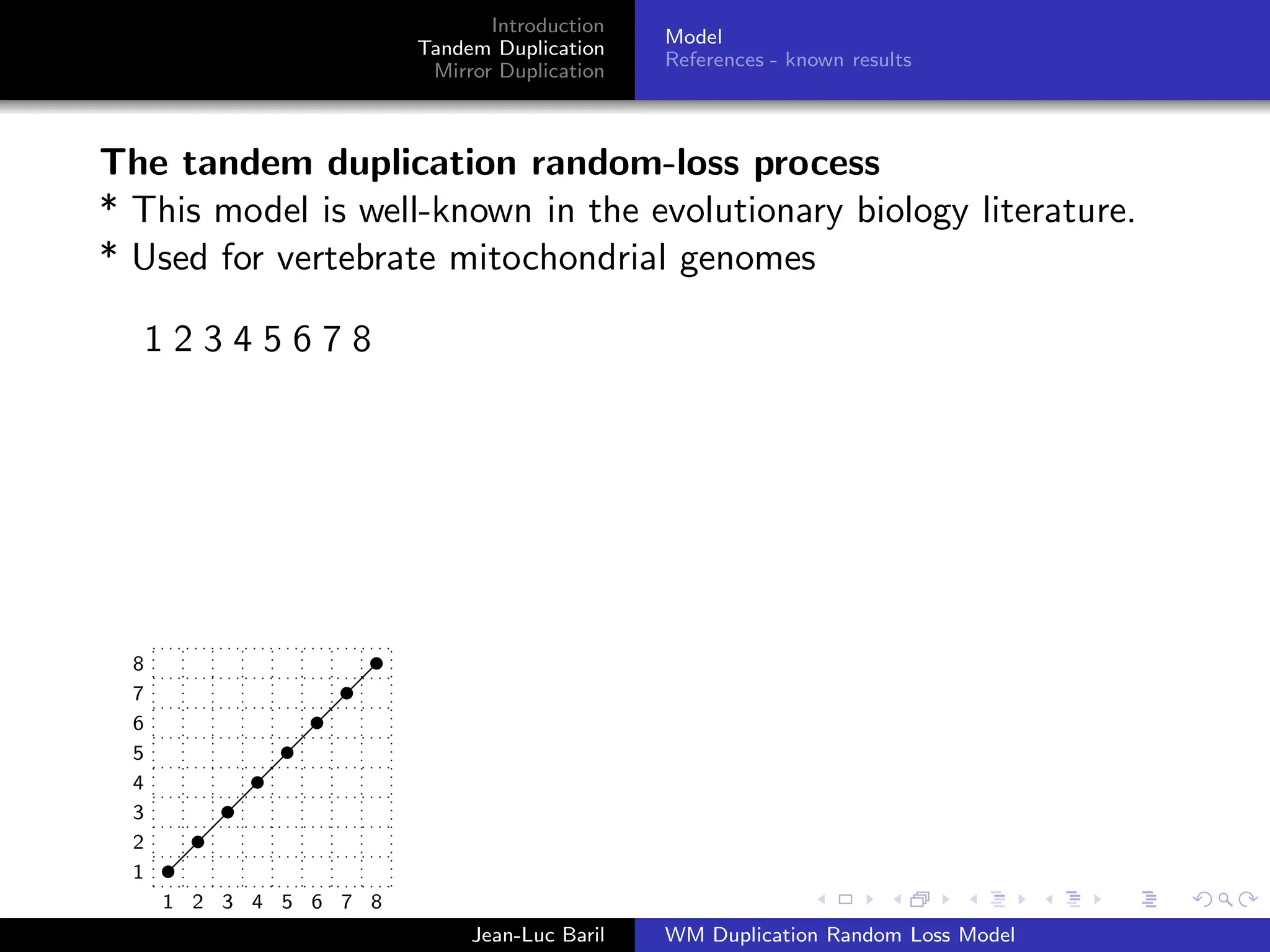 Introduction
                                               Model
                        Tandem Duplication
                                               References - known results
                         Mirror Duplication



The tandem duplication random-loss process
* This model is well-known in the evolutionary biology literature.
* Used for vertebrate mitochondrial genomes

      12345678                   1234567812345678


                                 1234567812345678


                                              12457368
  8
  7
  6
  5
  4
  3
  2
  1
      1 2 3 4 5 6 7 8
                             Jean-Luc Baril    WM Duplication Random Loss Model
 