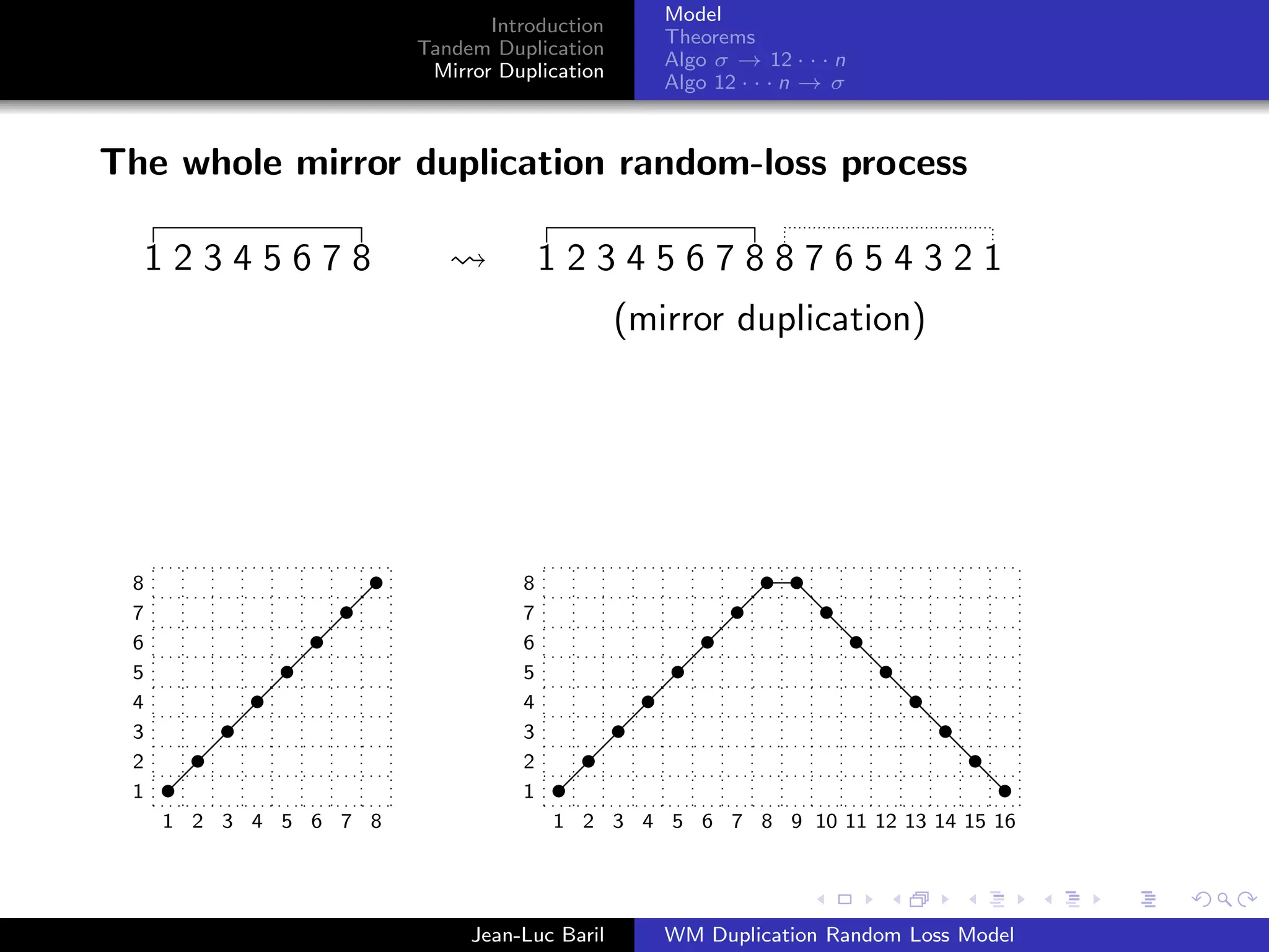 Model
                              Introduction
                                                Theorems
                       Tandem Duplication
                                                Algo σ → 12 · · · n
                        Mirror Duplication
                                                Algo 12 · · · n → σ



The whole mirror duplication random-loss process

     12345678                        1234567887654321
                                             (mirror duplication)
                                     1234567887654321


                                               14578632
 8                               8
 7                               7
 6                               6
 5                               5
 4                               4
 3                               3
 2                               2
 1                               1
     1 2 3 4 5 6 7 8                 1 2 3 4 5 6 7 8 9 10 11 12 13 14 15 16




                            Jean-Luc Baril      WM Duplication Random Loss Model
 
