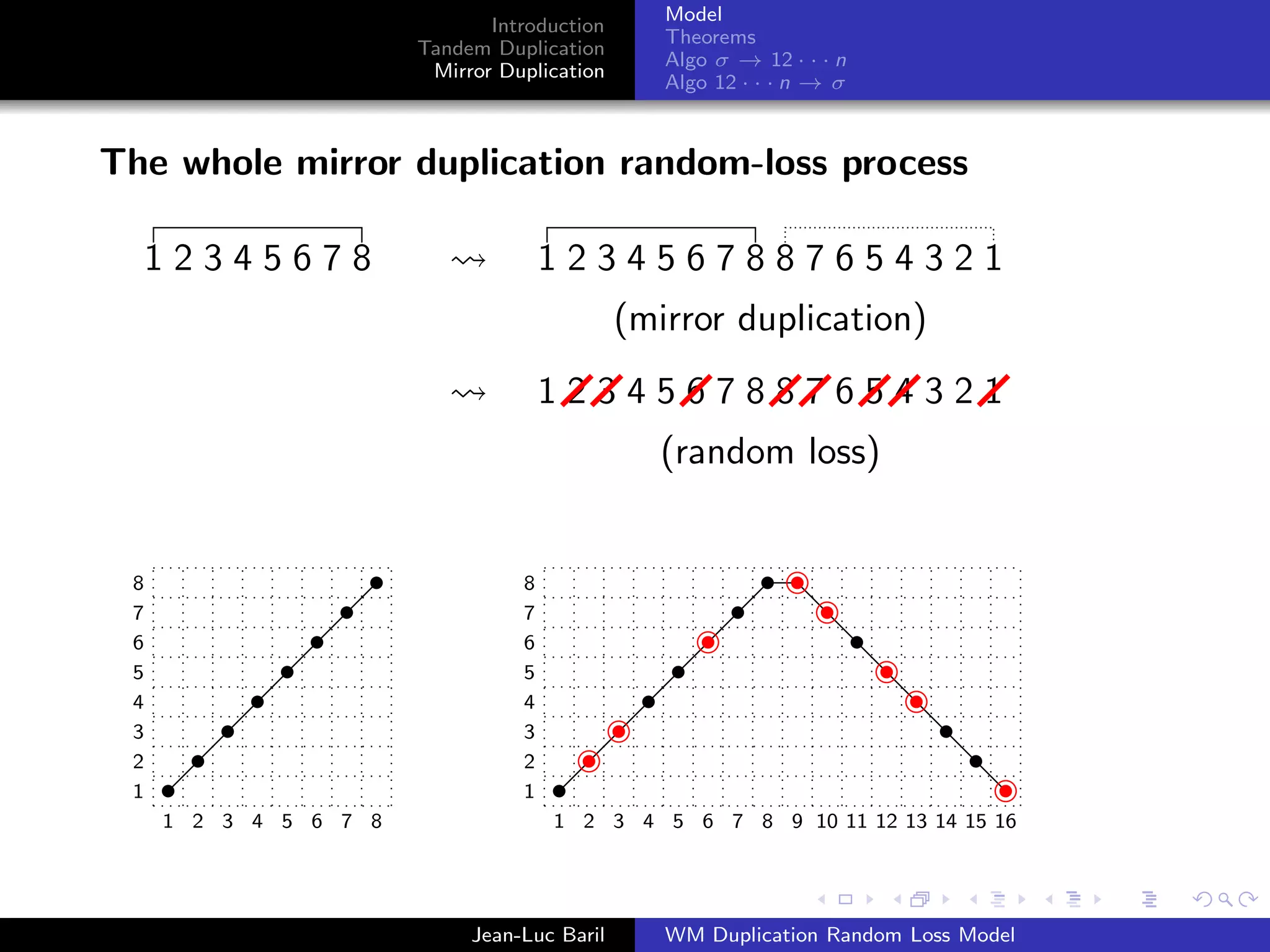 Model
                              Introduction
                                                Theorems
                       Tandem Duplication
                                                Algo σ → 12 · · · n
                        Mirror Duplication
                                                Algo 12 · · · n → σ



The whole mirror duplication random-loss process

     12345678                        1234567887654321
                                             (mirror duplication)
                                     1234567887654321
                                               (random loss)
                                               14578632
 8                               8
 7                               7
 6                               6
 5                               5
 4                               4
 3                               3
 2                               2
 1                               1
     1 2 3 4 5 6 7 8                 1 2 3 4 5 6 7 8 9 10 11 12 13 14 15 16




                            Jean-Luc Baril      WM Duplication Random Loss Model
 