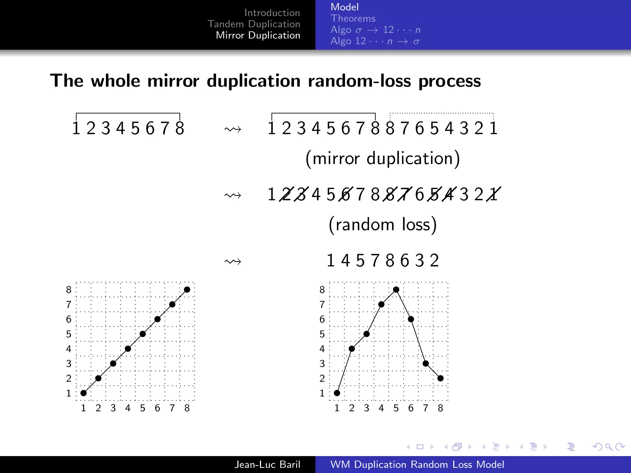 Model
                              Introduction
                                                Theorems
                       Tandem Duplication
                                                Algo σ → 12 · · · n
                        Mirror Duplication
                                                Algo 12 · · · n → σ



The whole mirror duplication random-loss process

     12345678                        1234567887654321
                                             (mirror duplication)
                                     1234567887654321
                                               (random loss)
                                               14578632
 8                               8         8
 7                               7         7
 6                               6         6
 5                               5         5
 4                               4         4
 3                               3         3
 2                               2         2
 1                               1         1
     1 2 3 4 5 6 7 8                 1 2 3 4 1 2 3 4 5 6 7 8 13 14 15 16




                            Jean-Luc Baril      WM Duplication Random Loss Model
 