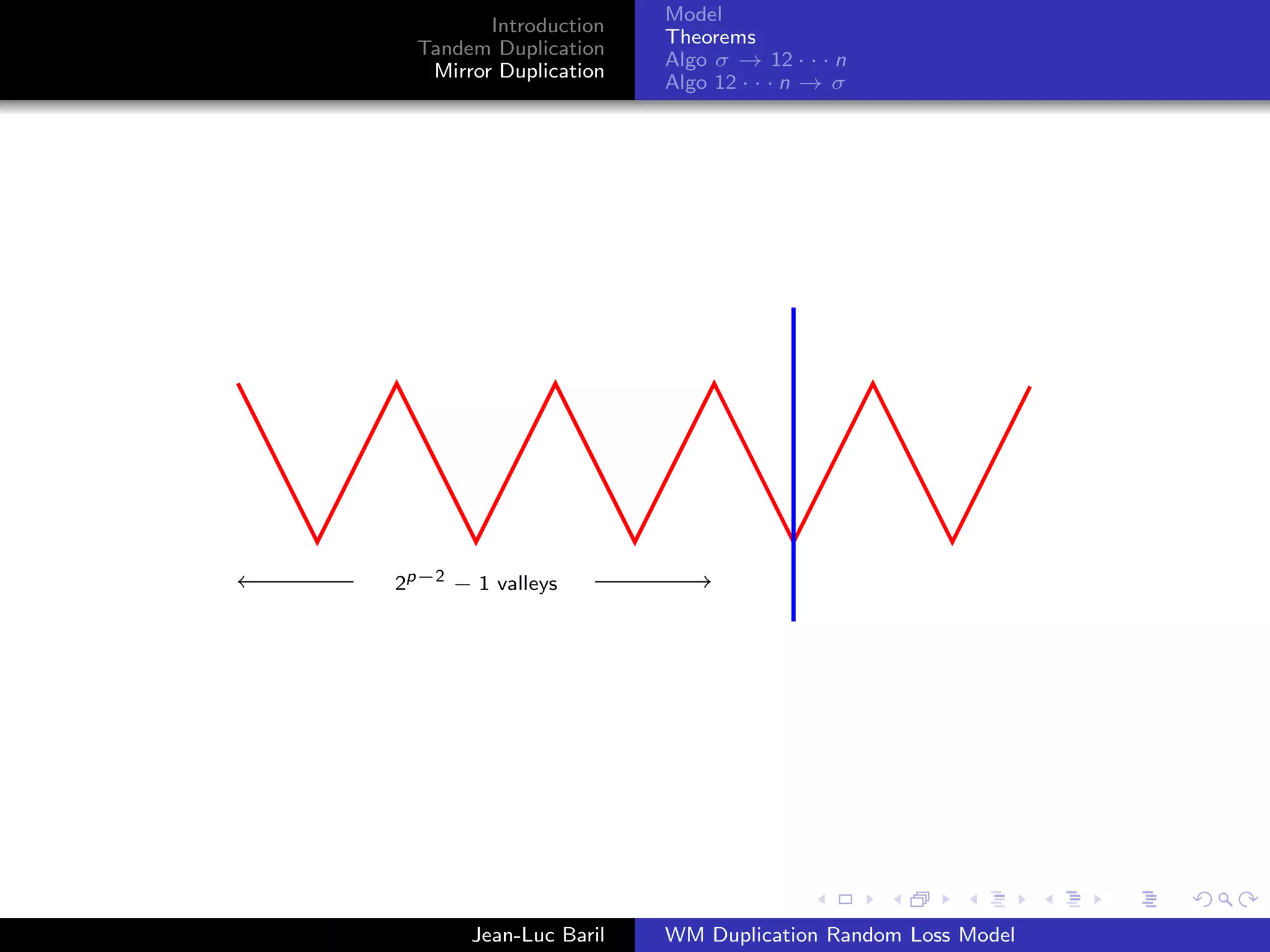 Model
         Introduction
                        Theorems
  Tandem Duplication
                        Algo σ → 12 · · · n
   Mirror Duplication
                        Algo 12 · · · n → σ




2p−2 − 1 valleys




       Jean-Luc Baril   WM Duplication Random Loss Model
 