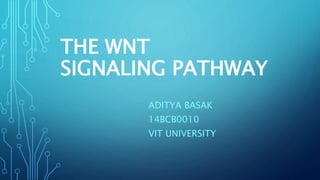 THE WNT
SIGNALING PATHWAY
ADITYA BASAK
14BCB0010
VIT UNIVERSITY
 