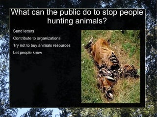Is it necessary for people to kill animals? Partly