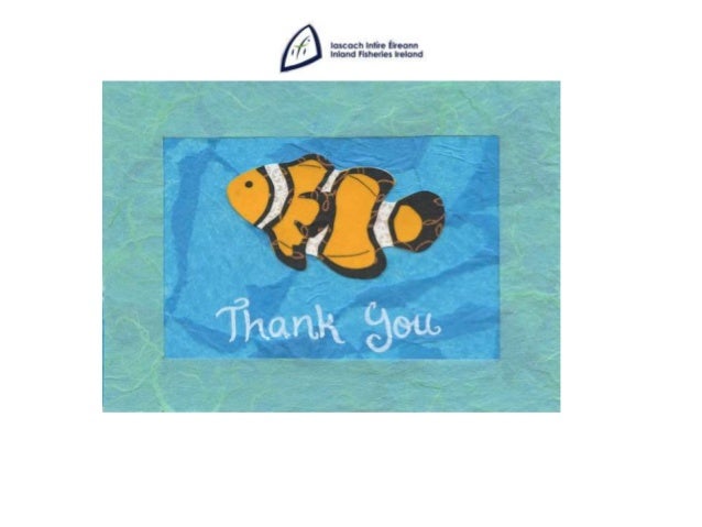 Case study: Fishing fees supporting salmon conservation and management in Ireland 