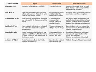 Smell Inervation #14 Brain Stem and CSF Anatomy .pptx