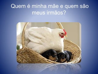 Quem é minha mãe e quem são
meus irmãos?
 