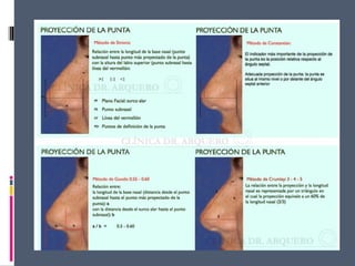 14 cavidad nasal y_senos_perinasales_2_ - 