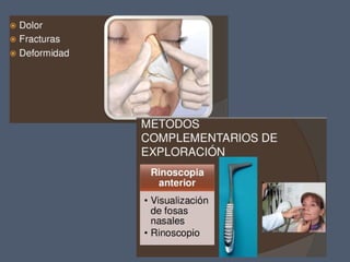 14 cavidad nasal y_senos_perinasales_2_ - 