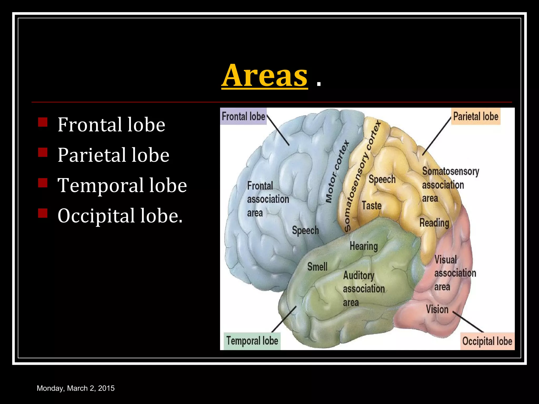 Areas .
 Frontal lobe
 Parietal lobe
 Temporal lobe
 Occipital lobe.
Monday, March 2, 2015
 