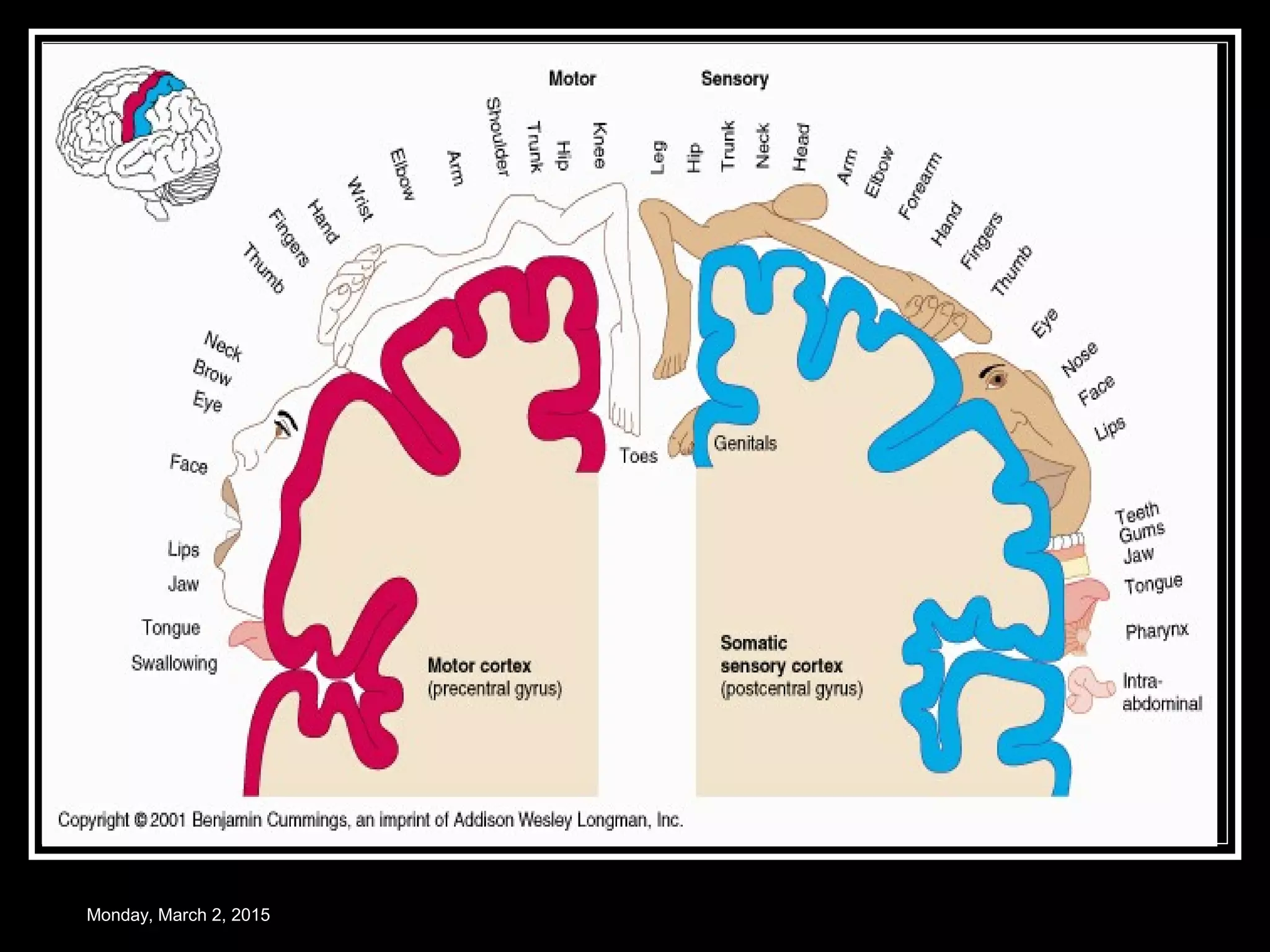 Monday, March 2, 2015
 