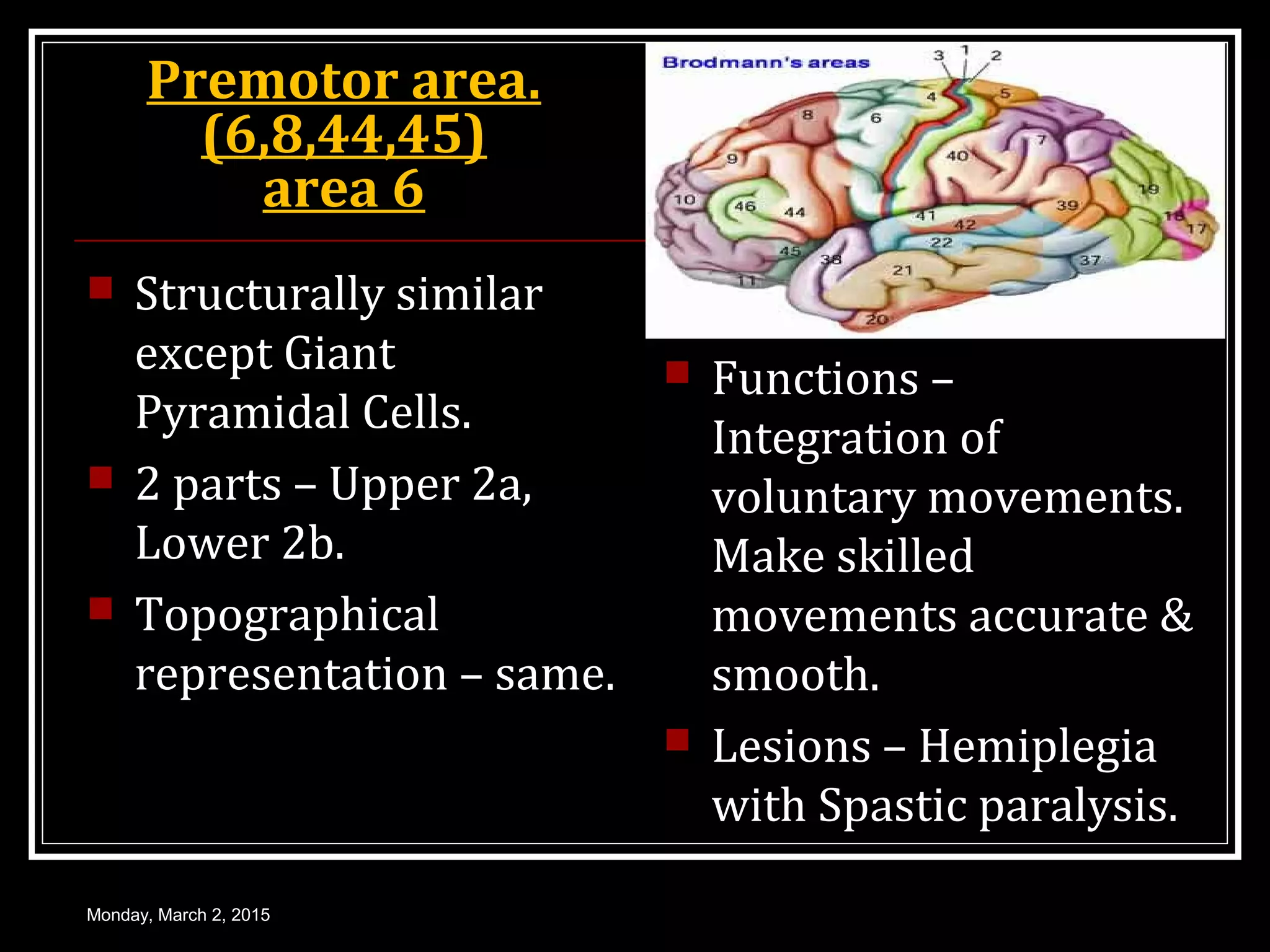 Premotor area.
(6,8,44,45)
area 6
 Structurally similar
except Giant
Pyramidal Cells.
 2 parts – Upper 2a,
Lower 2b.
 Topographical
representation – same.
 Functions –
Integration of
voluntary movements.
Make skilled
movements accurate &
smooth.
 Lesions – Hemiplegia
with Spastic paralysis.
Monday, March 2, 2015
 