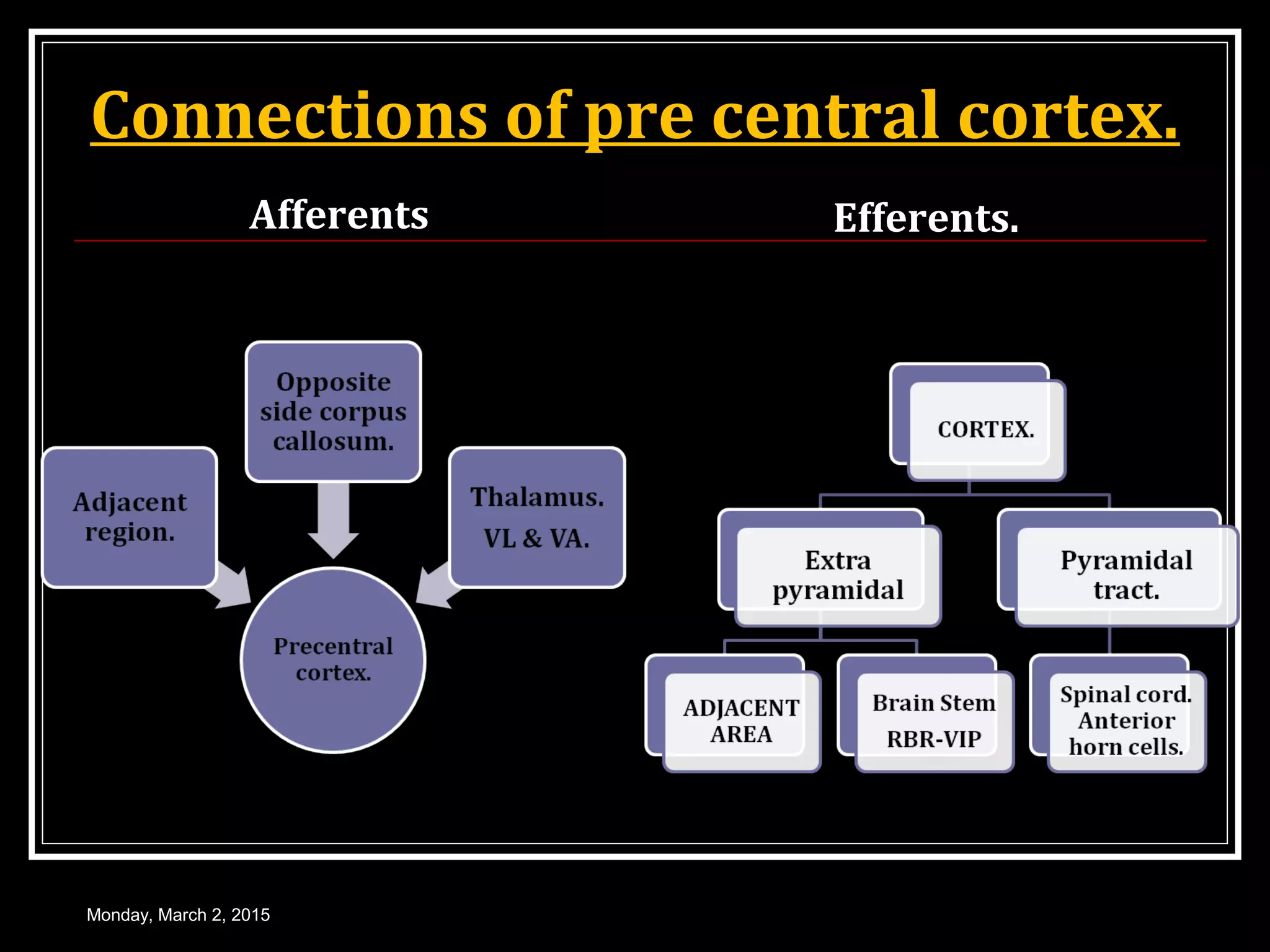 Connections of pre central cortex.
Afferents Efferents.
Monday, March 2, 2015
 