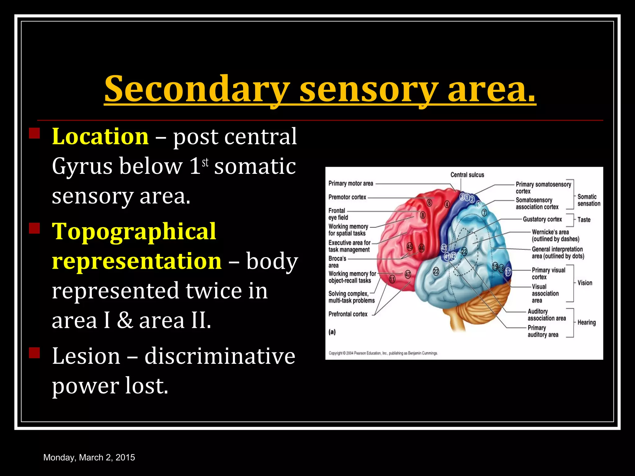 Secondary sensory area.
 Location – post central
Gyrus below 1st
somatic
sensory area.
 Topographical
representation – body
represented twice in
area I & area II.
 Lesion – discriminative
power lost.
Monday, March 2, 2015
 