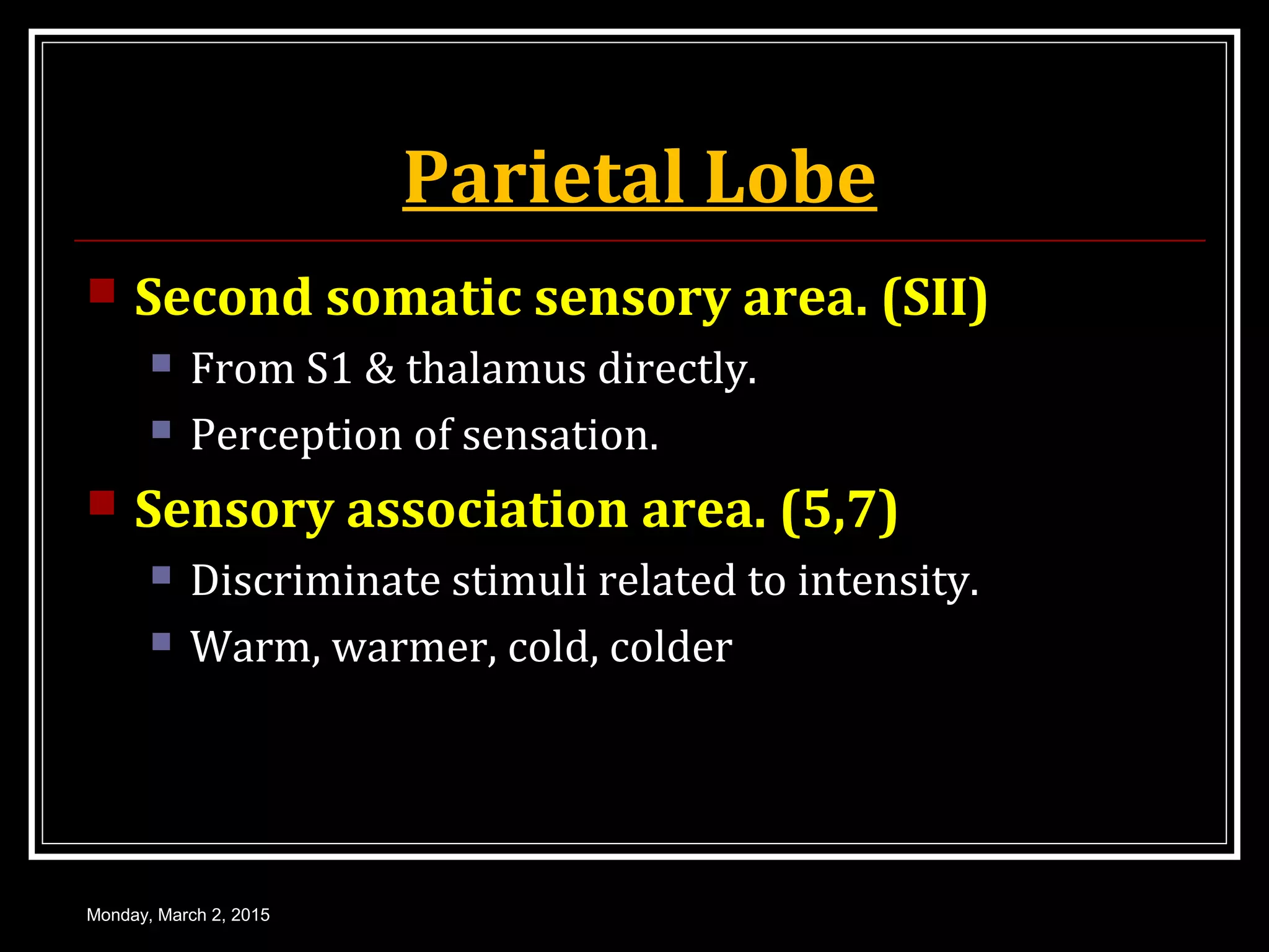 Parietal Lobe
 Second somatic sensory area. (SII)
 From S1 & thalamus directly.
 Perception of sensation.
 Sensory association area. (5,7)
 Discriminate stimuli related to intensity.
 Warm, warmer, cold, colder
Monday, March 2, 2015
 