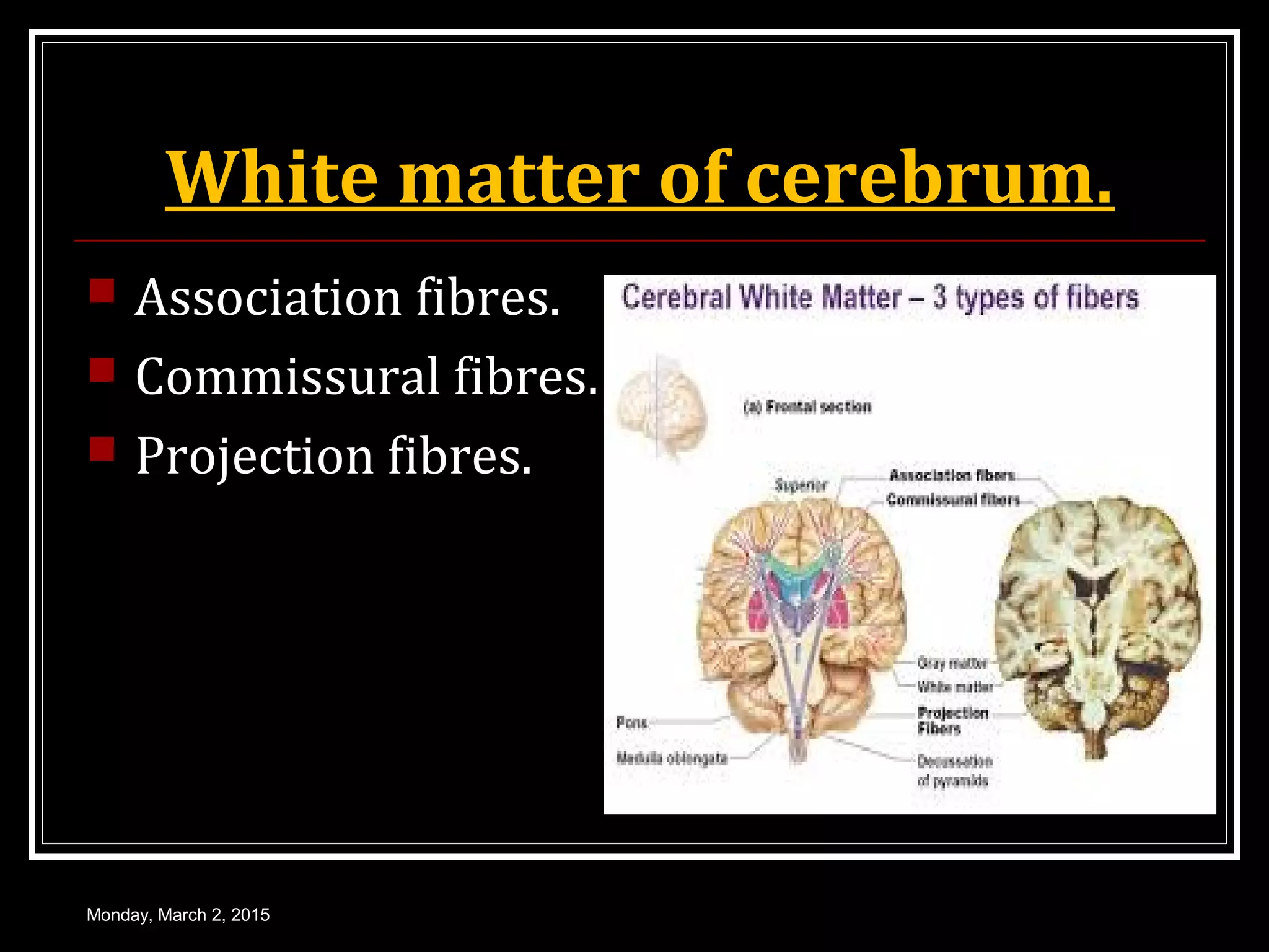 White matter of cerebrum.
 Association fibres.
 Commissural fibres.
 Projection fibres.
Monday, March 2, 2015
 