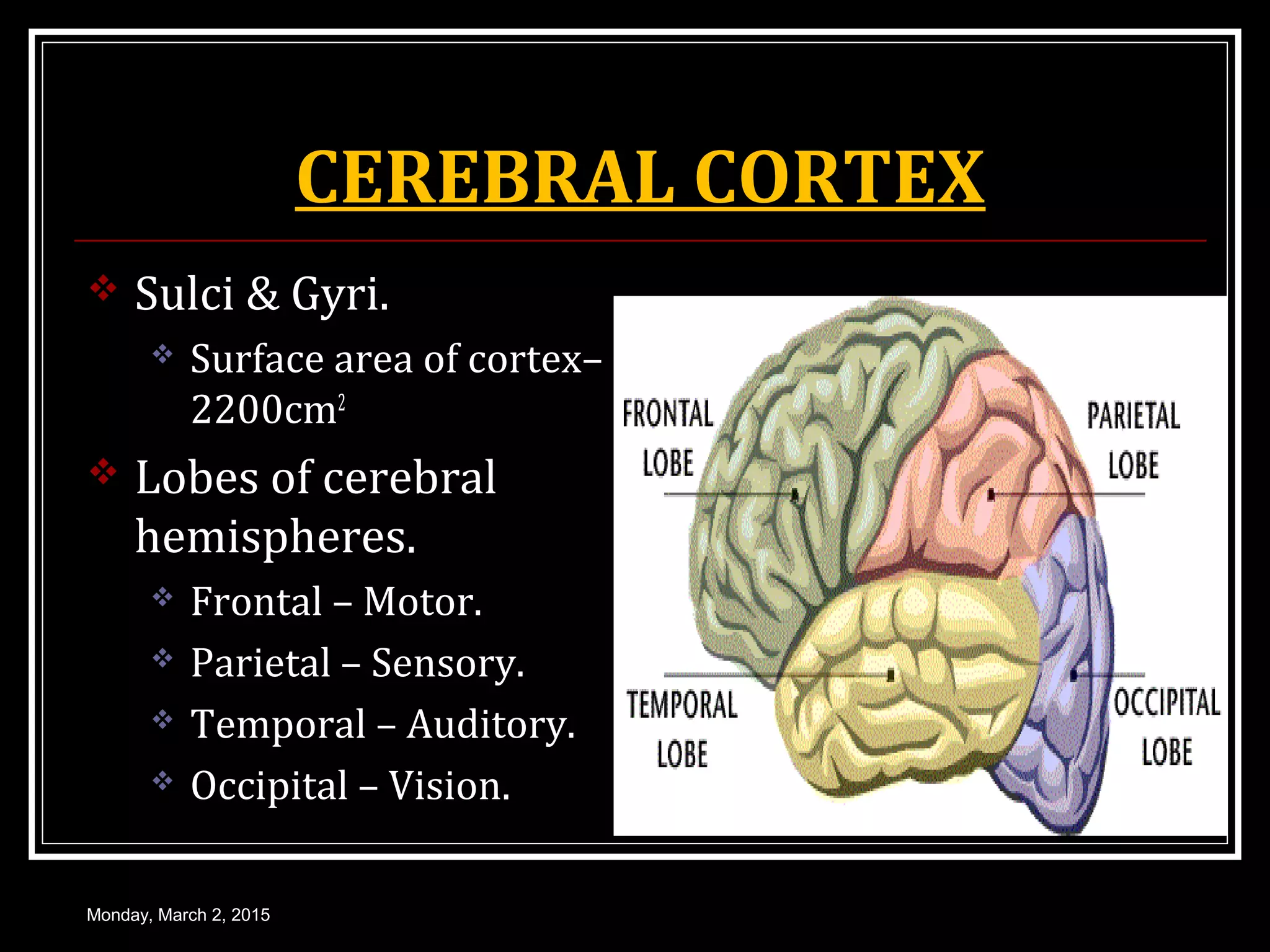 CEREBRAL CORTEX
 Sulci & Gyri.
 Surface area of cortex–
2200cm2
 Lobes of cerebral
hemispheres.
 Frontal – Motor.
 Parietal – Sensory.
 Temporal – Auditory.
 Occipital – Vision.
Monday, March 2, 2015
 