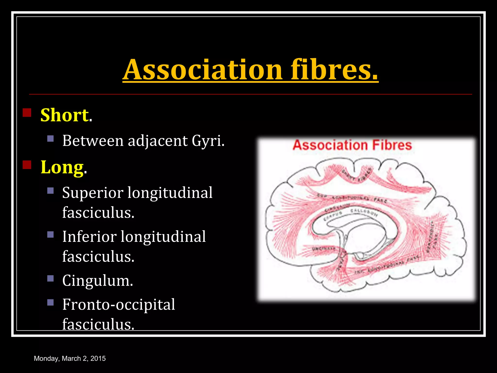 Association fibres.
 Short.
 Between adjacent Gyri.
 Long.
 Superior longitudinal
fasciculus.
 Inferior longitudinal
fasciculus.
 Cingulum.
 Fronto-occipital
fasciculus.
Monday, March 2, 2015
 