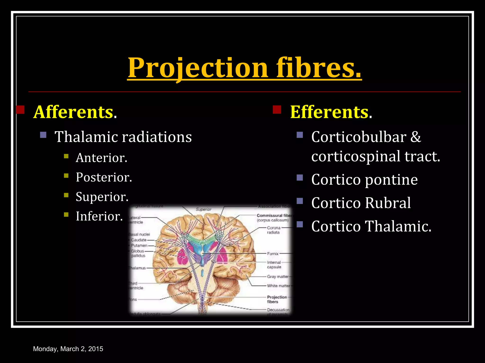 Projection fibres.
 Afferents.
 Thalamic radiations
 Anterior.
 Posterior.
 Superior.
 Inferior.
 Efferents.
 Corticobulbar &
corticospinal tract.
 Cortico pontine
 Cortico Rubral
 Cortico Thalamic.
Monday, March 2, 2015
 