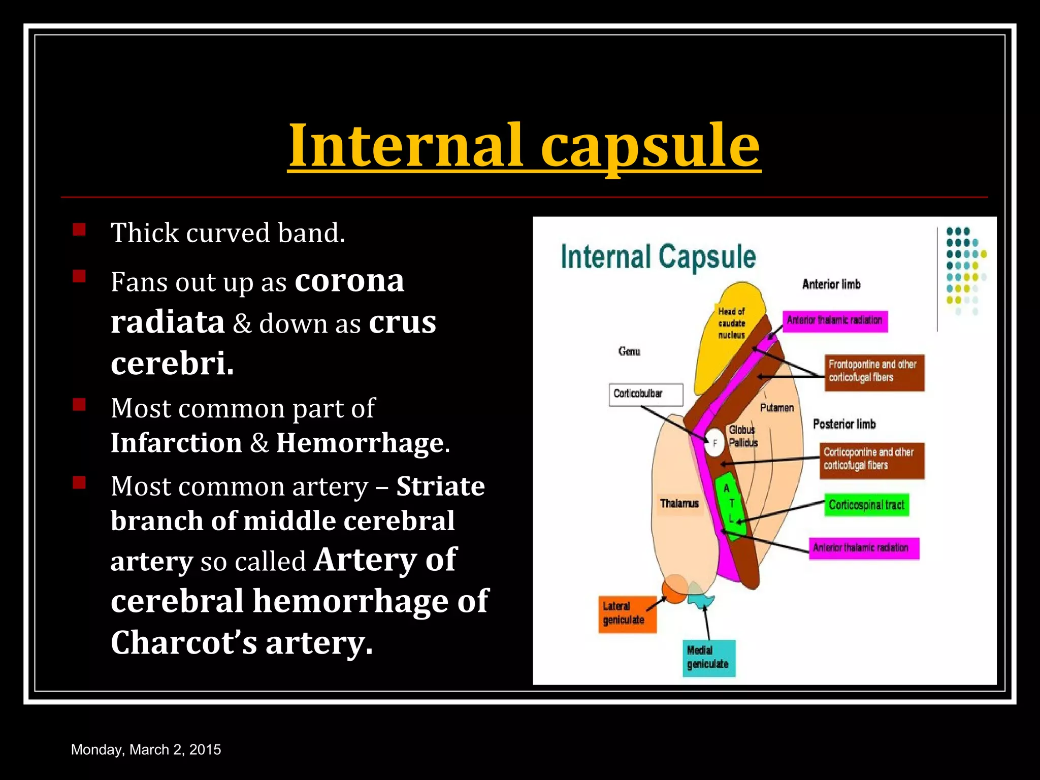 Internal capsule
 Thick curved band.
 Fans out up as corona
radiata & down as crus
cerebri.
 Most common part of
Infarction & Hemorrhage.
 Most common artery – Striate
branch of middle cerebral
artery so called Artery of
cerebral hemorrhage of
Charcot’s artery.
Monday, March 2, 2015
 