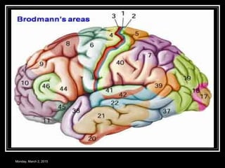 Monday, March 2, 2015
 