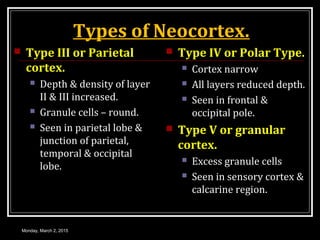 Types of Neocortex.
 Type III or Parietal
cortex.
 Depth & density of layer
II & III increased.
 Granule cells – round.
 Seen in parietal lobe &
junction of parietal,
temporal & occipital
lobe.
 Type IV or Polar Type.
 Cortex narrow
 All layers reduced depth.
 Seen in frontal &
occipital pole.
 Type V or granular
cortex.
 Excess granule cells
 Seen in sensory cortex &
calcarine region.
Monday, March 2, 2015
 