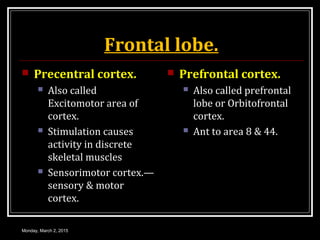 Frontal lobe.
 Precentral cortex.
 Also called
Excitomotor area of
cortex.
 Stimulation causes
activity in discrete
skeletal muscles
 Sensorimotor cortex.—
sensory & motor
cortex.
 Prefrontal cortex.
 Also called prefrontal
lobe or Orbitofrontal
cortex.
 Ant to area 8 & 44.
Monday, March 2, 2015
 