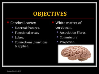 OBJECTIVES
 Cerebral cortex
 External features.
 Functional areas.
 Lobes.
 Connections , functions
& applied.
 White matter of
cerebrum.
 Association Fibres.
 Commissural
 Projection.
Monday, March 2, 2015
 