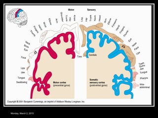 Monday, March 2, 2015
 