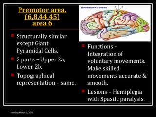 Premotor area.
(6,8,44,45)
area 6
 Structurally similar
except Giant
Pyramidal Cells.
 2 parts – Upper 2a,
Lower 2b.
 Topographical
representation – same.
 Functions –
Integration of
voluntary movements.
Make skilled
movements accurate &
smooth.
 Lesions – Hemiplegia
with Spastic paralysis.
Monday, March 2, 2015
 