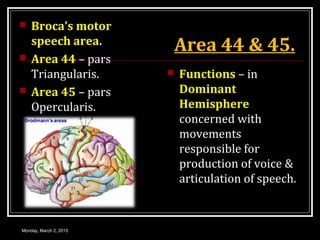 Area 44 & 45.
 Broca’s motor
speech area.
 Area 44 – pars
Triangularis.
 Area 45 – pars
Opercularis.
 Functions – in
Dominant
Hemisphere
concerned with
movements
responsible for
production of voice &
articulation of speech.
Monday, March 2, 2015
 