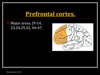 Prefrontal cortex.
 Major areas. (9-14,
23,24,29,32, 44-47.
Monday, March 2, 2015
 
