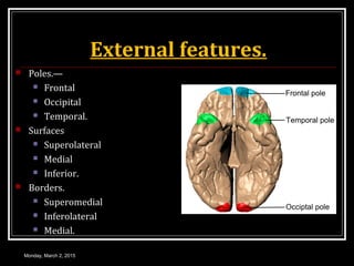 External features.
 Poles.—
 Frontal
 Occipital
 Temporal.
 Surfaces
 Superolateral
 Medial
 Inferior.
 Borders.
 Superomedial
 Inferolateral
 Medial.
Monday, March 2, 2015
 