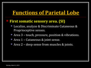 Functions of Parietal Lobe
 First somatic sensory area. (SI)
 Localize, analyze & Discriminate Cutaneous &
Proprioceptive senses.
 Area 3 – touch, pressure, position & vibrations.
 Area 1 – Cutaneous & joint sense.
 Area 2 – deep sense from muscles & joints.
Monday, March 2, 2015
 