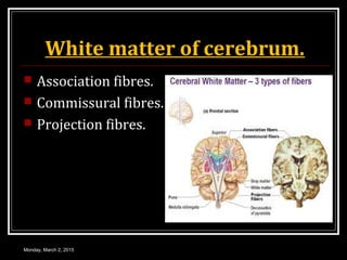 White matter of cerebrum.
 Association fibres.
 Commissural fibres.
 Projection fibres.
Monday, March 2, 2015
 