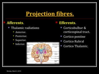 Projection fibres.
 Afferents.
 Thalamic radiations
 Anterior.
 Posterior.
 Superior.
 Inferior.
 Efferents.
 Corticobulbar &
corticospinal tract.
 Cortico pontine
 Cortico Rubral
 Cortico Thalamic.
Monday, March 2, 2015
 