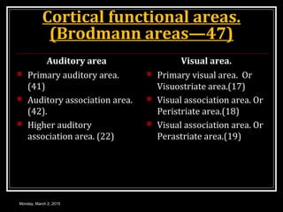 Cortical functional areas.
(Brodmann areas—47)
Auditory area
 Primary auditory area.
(41)
 Auditory association area.
(42).
 Higher auditory
association area. (22)
Visual area.
 Primary visual area. Or
Visuostriate area.(17)
 Visual association area. Or
Peristriate area.(18)
 Visual association area. Or
Perastriate area.(19)
Monday, March 2, 2015
 